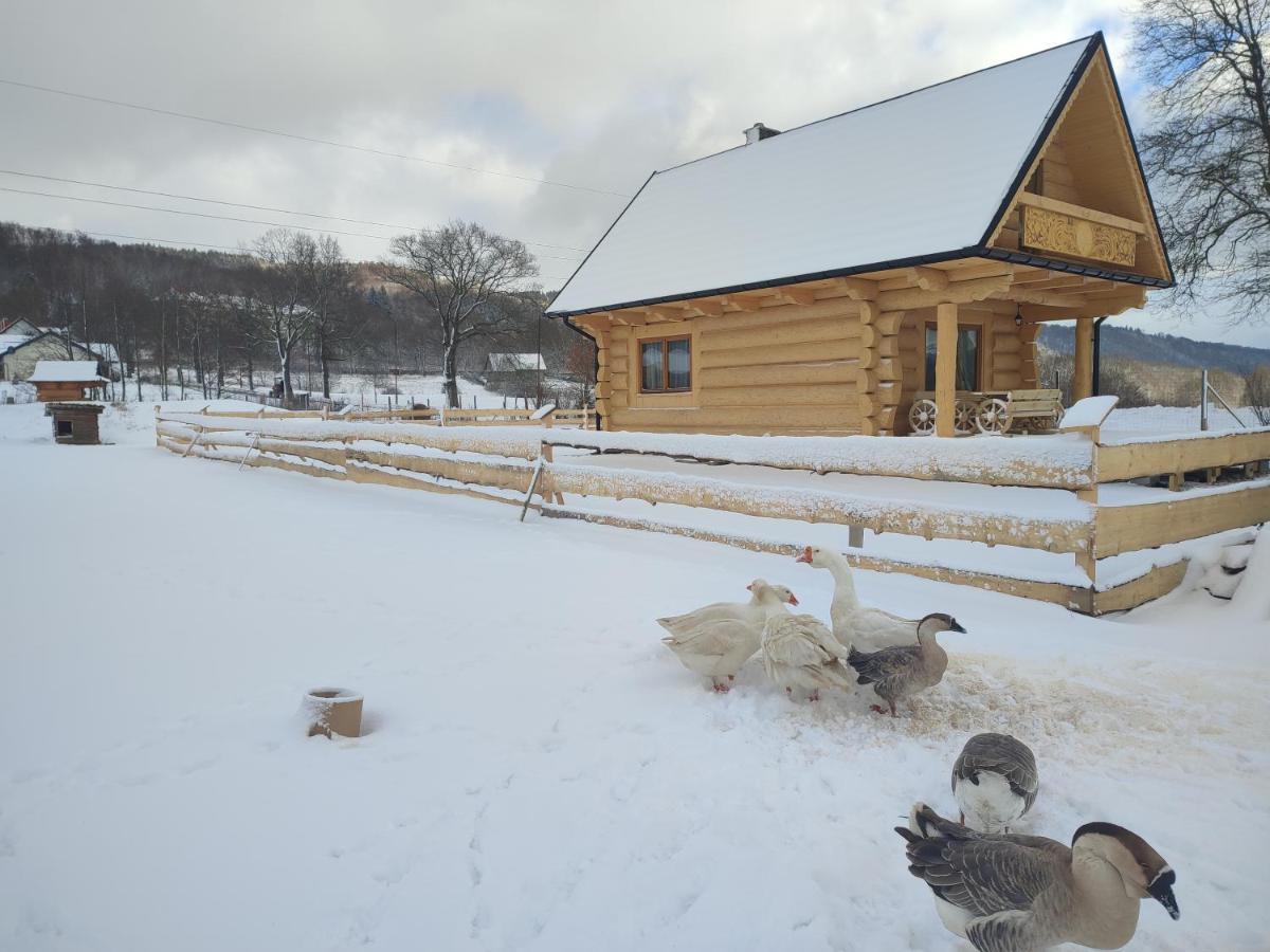 Sudecki Dym Z Kominkiem Kolo Karpacza. Agroturystyka Janowice Wielkie Exterior foto