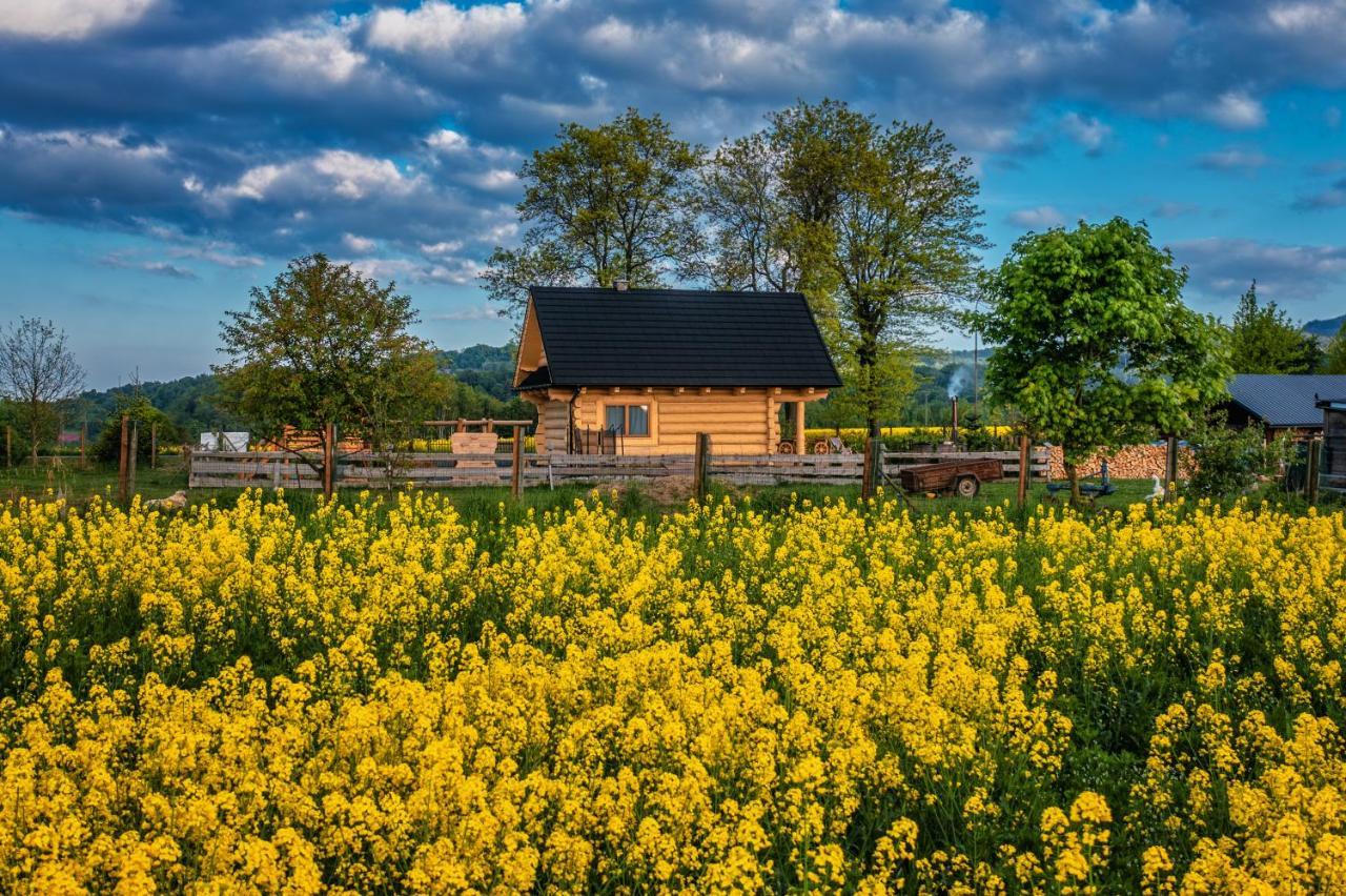 Sudecki Dym Z Kominkiem Kolo Karpacza. Agroturystyka Janowice Wielkie Exterior foto